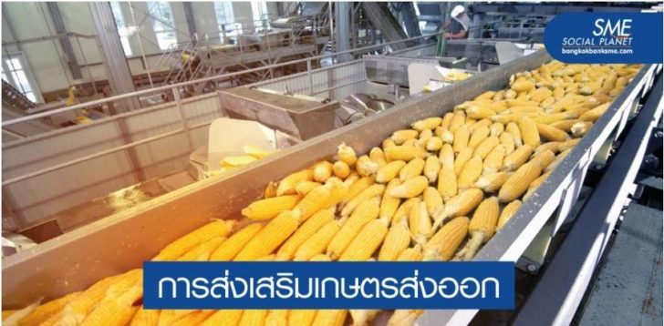 ดัน SMEs ภาคการเกษตรไทยสู่ครัวโลกหลังโควิด-19