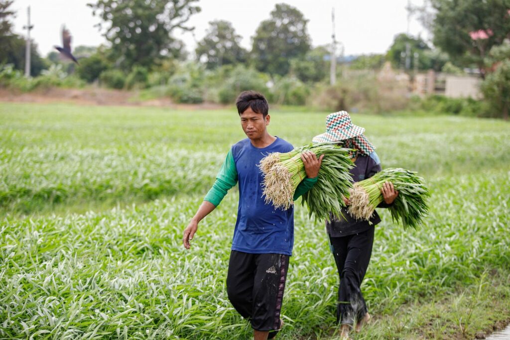 เกษตรกรคนขยัน วัย 66 เช่าที่ปลูกผัก เก็บผลผลิตขายในเซเว่น ได้จับเงินทุกวัน 