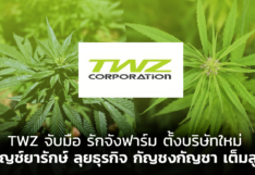 TWZ จับมือ รักจังฟาร์ม ตั้งบริษัทใหม่ กัญช์ยารักษ์ ลุยธุรกิจ กัญชงกัญชา เต็มสูบ 
