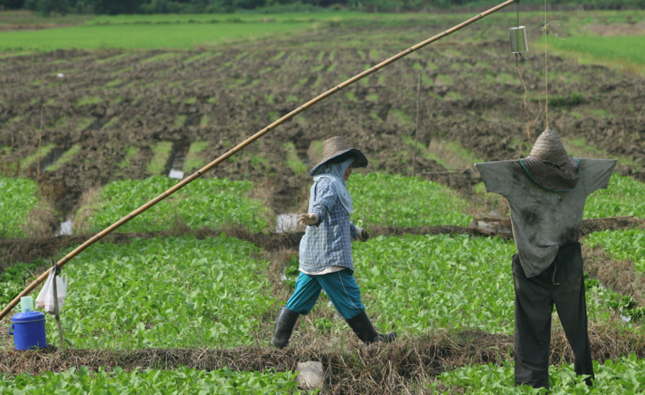 สรุปมาตรการ จัดการหนี้นอกระบบ ของ ธ.ก.ส. ช่วยเกษตรกรฝ่าวิกฤต