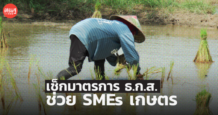 ธ.ก.ส. ออกมาตรการสินเชื่อฟื้นฟู-พักทรัพย์ พักหนี้ ช่วย SMEs เกษตร ฝ่าวิกฤต 