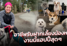 เงินดีแค่ไหน? คนรับฝากเลี้ยงน้องหมา! อาชีพเสริม ของสาวไทย ในอเมริกา