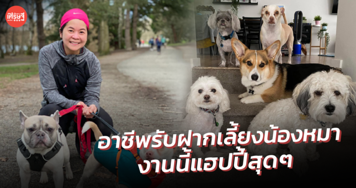เงินดีแค่ไหน? คนรับฝากเลี้ยงน้องหมา! อาชีพเสริม ของสาวไทย ในอเมริกา