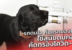 รถดมไว คันแรกของไทย ใช้สุนัขดมกลิ่น คัดกรองโควิด-19