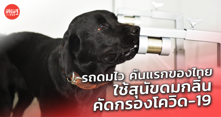 รถดมไว คันแรกของไทย ใช้สุนัขดมกลิ่น คัดกรองโควิด-19
