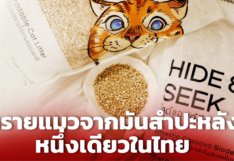 นักบิน ชวนเพื่อน ผลิตทรายแมวจากมันสำปะหลัง ตีตลาดไทยส่งออกต่างประเทศ 