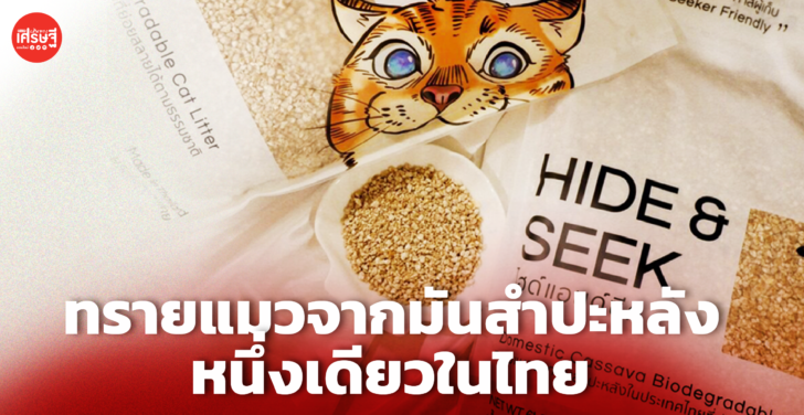 นักบิน ชวนเพื่อน ผลิตทรายแมวจากมันสำปะหลัง ตีตลาดไทยส่งออกต่างประเทศ 