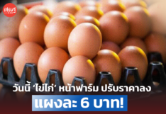 วันนี้ ‘ไข่ไก่’ หน้าฟาร์ม ปรับราคาลดลง แผงละ 6 บาท!