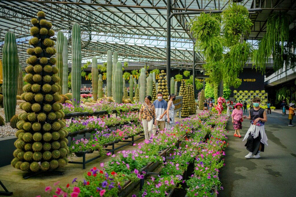 ภาพจากเพจ สวนนงนุช พัทยา Nongnooch Garden Pattaya