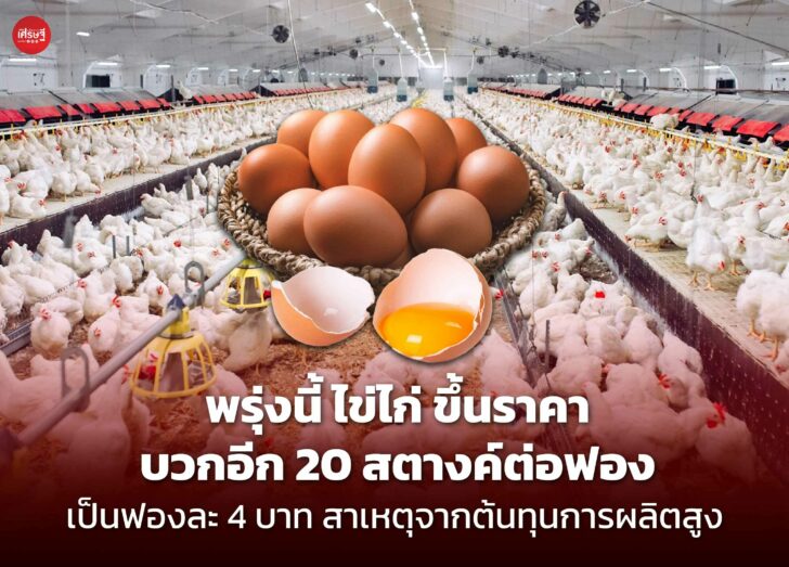 พรุ่งนี้ ไข่ไก่ ขึ้นราคา บวกอีก 20 สตางค์ต่อฟอง เป็นฟองละ 4 บาท