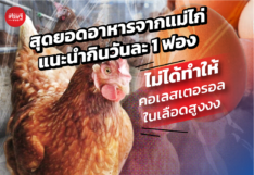 ไข่ไก่ สุดยอดอาหารจากแม่ไก่ แนะนำกินวันละ 1 ฟอง ไม่ได้ทำให้คอเลสเตอรอลในเลือดสูง