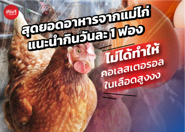 ไข่ไก่ สุดยอดอาหารจากแม่ไก่ แนะนำกินวันละ 1 ฟอง ไม่ได้ทำให้คอเลสเตอรอลในเลือดสูง
